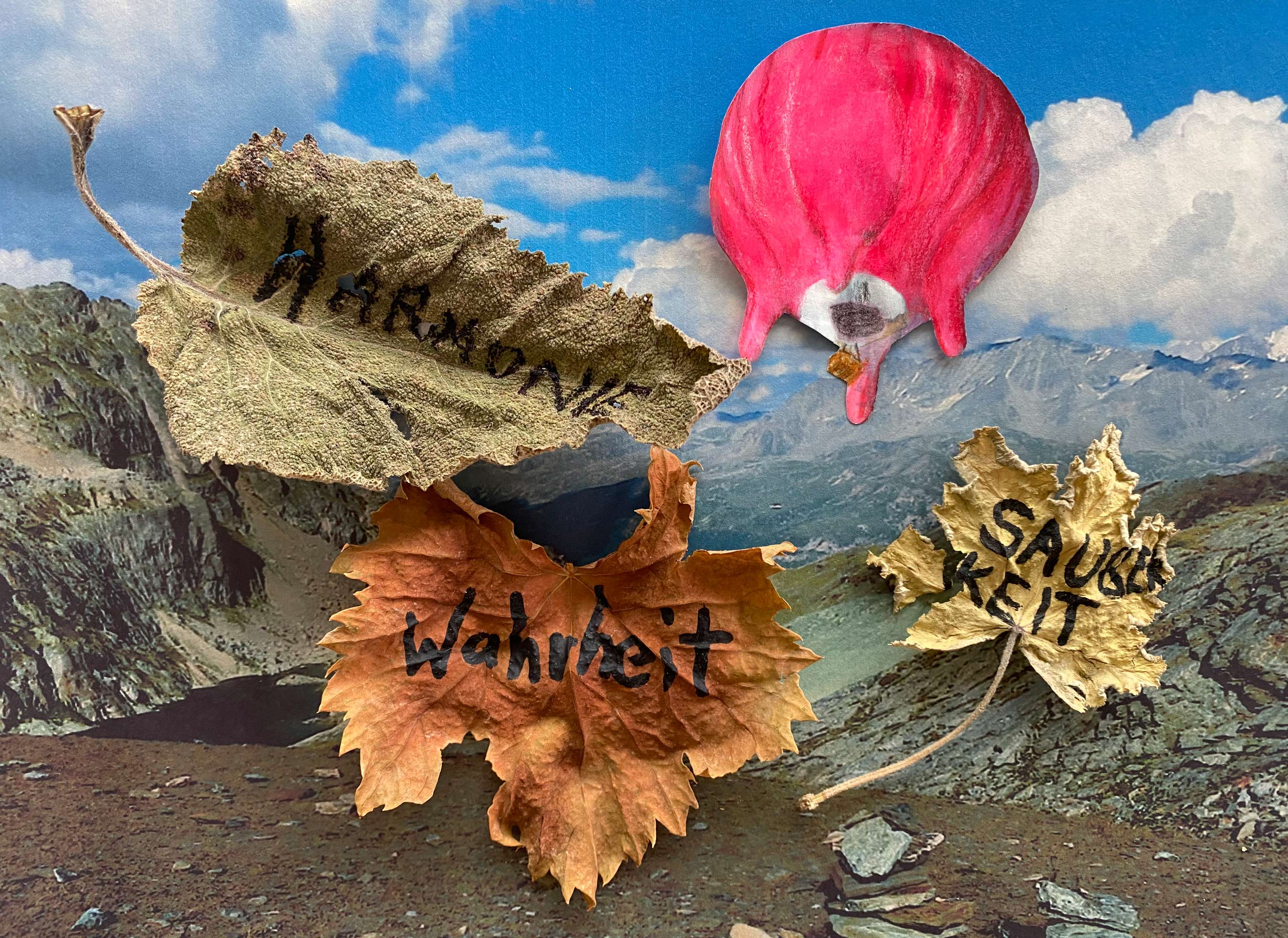 Collage of the Flying udder and leaves above Pass Lunghin, Switzerland.